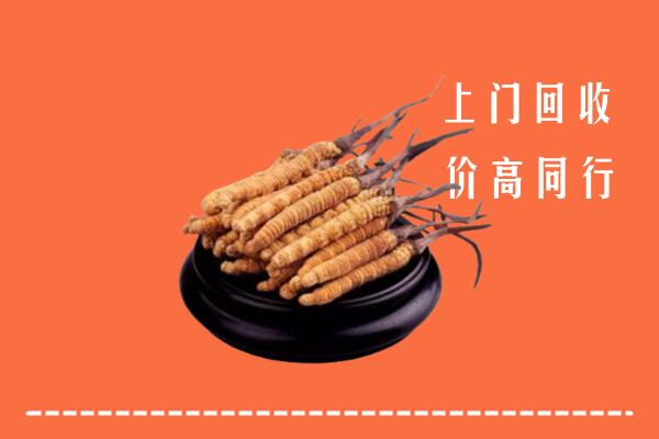 高价求购：广汉市回收散虫草