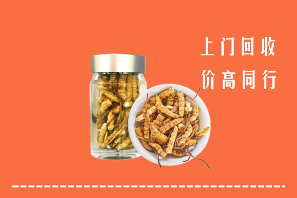 广汉市回收冬虫夏草